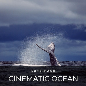 40 LUTS | Cinematic Ocean | Sea | Landscape | Blue | Premiere Pro | Photoshop | After Effects | Video Presets | Editing | Filters