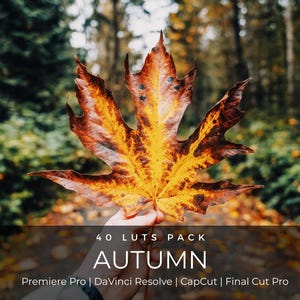 May include: A vibrant orange and brown maple leaf with dark spots, featuring the text 40 LUTS PACK AUTUMN Premiere Pro | DaVinci Resolve | CapCut | Final Cut Pro, presented against a blurred forest background with autumn foliage.