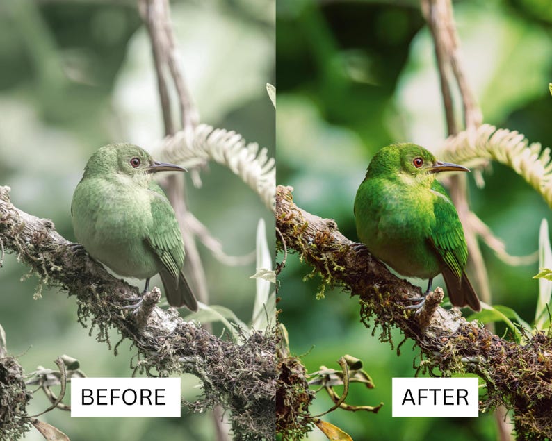 40 Cinematic Green LUTs | Nature & Forest Color Grading | Landscape, Hiking Video | Premiere Pro, CapCut, Final Cut Pro, DaVinci Resolve image 10