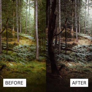 May include: A before and after image showing the difference in a photo editing effect. The before image shows a forest with tall trees and green foliage. The after image shows the same forest with a darker, more moody tone.