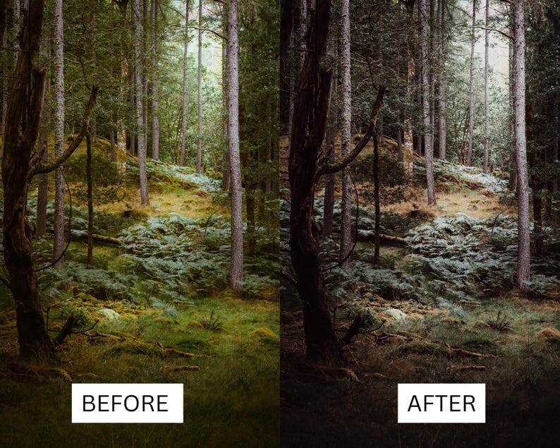 May include: A before and after image showing the difference in a photo editing effect. The before image shows a forest with tall trees and green foliage. The after image shows the same forest with a darker, more moody tone.