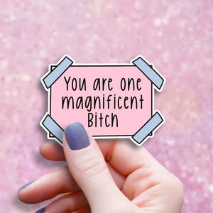 Boss Bitch Motivational Sticker, Inappropriate Adult Humor Decal, Baddie Aesthetic, Sarcastic Best Friend Birthday Gift, Laptop Sticker