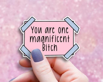 Boss Bitch Motivational Sticker, Inappropriate Adult Humor Decal, Baddie Aesthetic, Sarcastic Best Friend Birthday Gift, Laptop Sticker