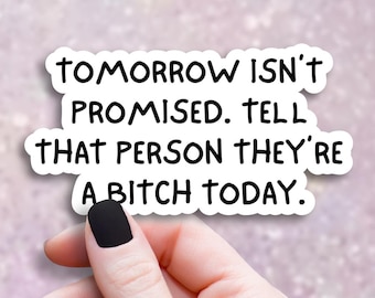 Be an Asshole Sticker, Funny Sarcastic Decal, Rude Snarky Gift, Adult Humor Laptop Sticker, Water Bottle Decal, Vinyl Sticker