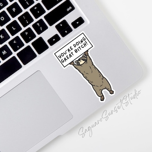 May include: A sticker showing a cartoon raccoon holding a sign with the text "YOU'RE DOING GREAT BITCH!". The raccoon is brown and white, and the sign is white with black text. The sticker is placed on a laptop.