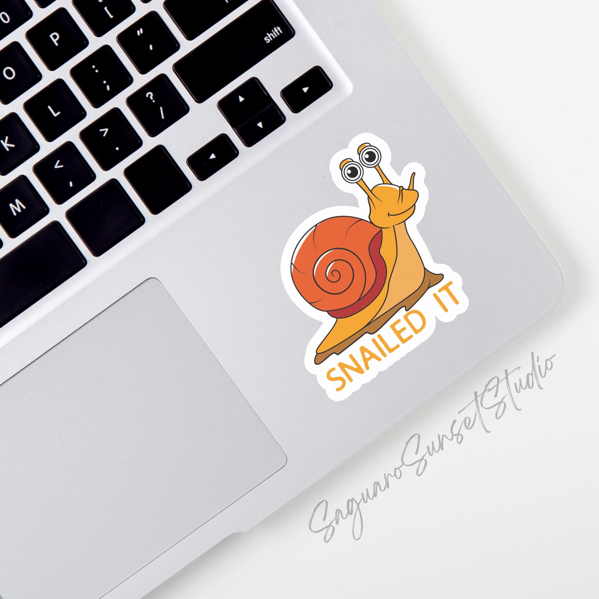 Punny Snail Sticker, Snail Mail Decal, Funny Slow Down Nature Gift ...