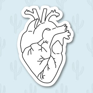 Anatomical Heart Sticker, Heart Anatomy Sticker, Nursing Sticker for Laptop,  Healthcare Sticker, Medical Sticker, Doctor Gift, Medicine