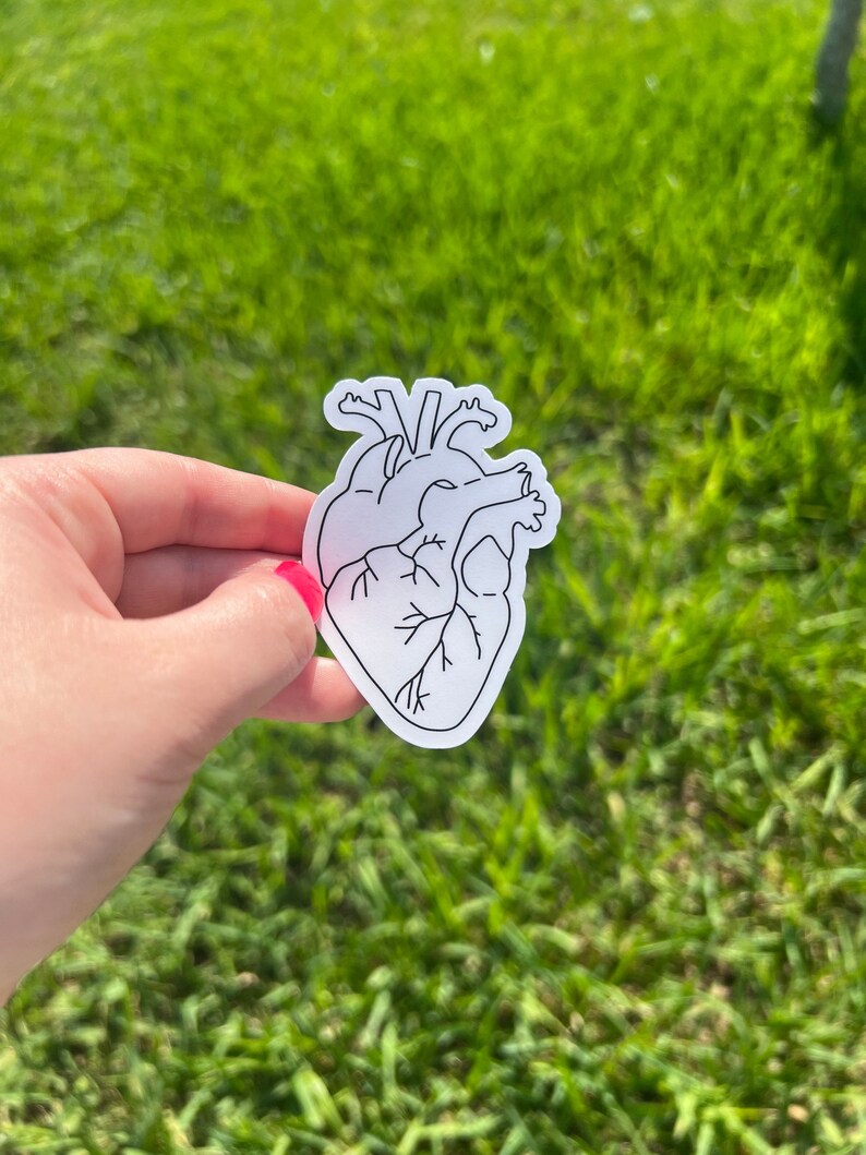 Anatomical Heart Sticker Nursing Sticker Nurse Sticker Etsy