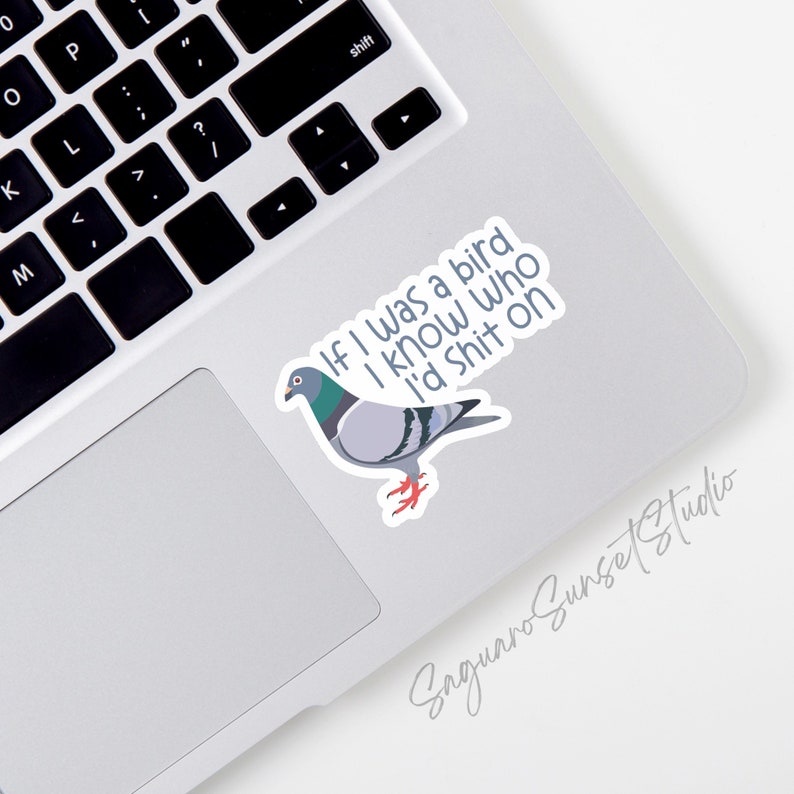 Sticker oiseau pigeon drôle, sticker observation d'oiseaux sarcastique, humour animal sarcastique, cadeau amateur d'oiseaux de la ville, sticker bouteille d'eau pour ordinateur portable, vinyle image 3