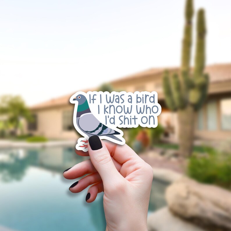Sticker oiseau pigeon drôle, sticker observation d'oiseaux sarcastique, humour animal sarcastique, cadeau amateur d'oiseaux de la ville, sticker bouteille d'eau pour ordinateur portable, vinyle image 1