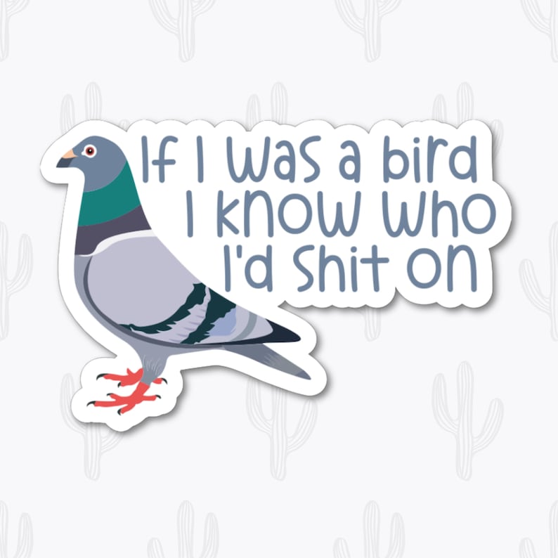 Sticker oiseau pigeon drôle, sticker observation d'oiseaux sarcastique, humour animal sarcastique, cadeau amateur d'oiseaux de la ville, sticker bouteille d'eau pour ordinateur portable, vinyle image 2