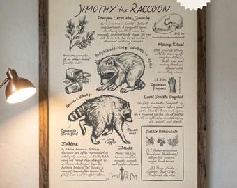 May include: A framed wall print titled Jimothy the Raccoon featuring black ink illustrations of a raccoon, a skull, and botanical elements on a cream background. The print includes handwritten-style text detailing facts, folklore, and threats.