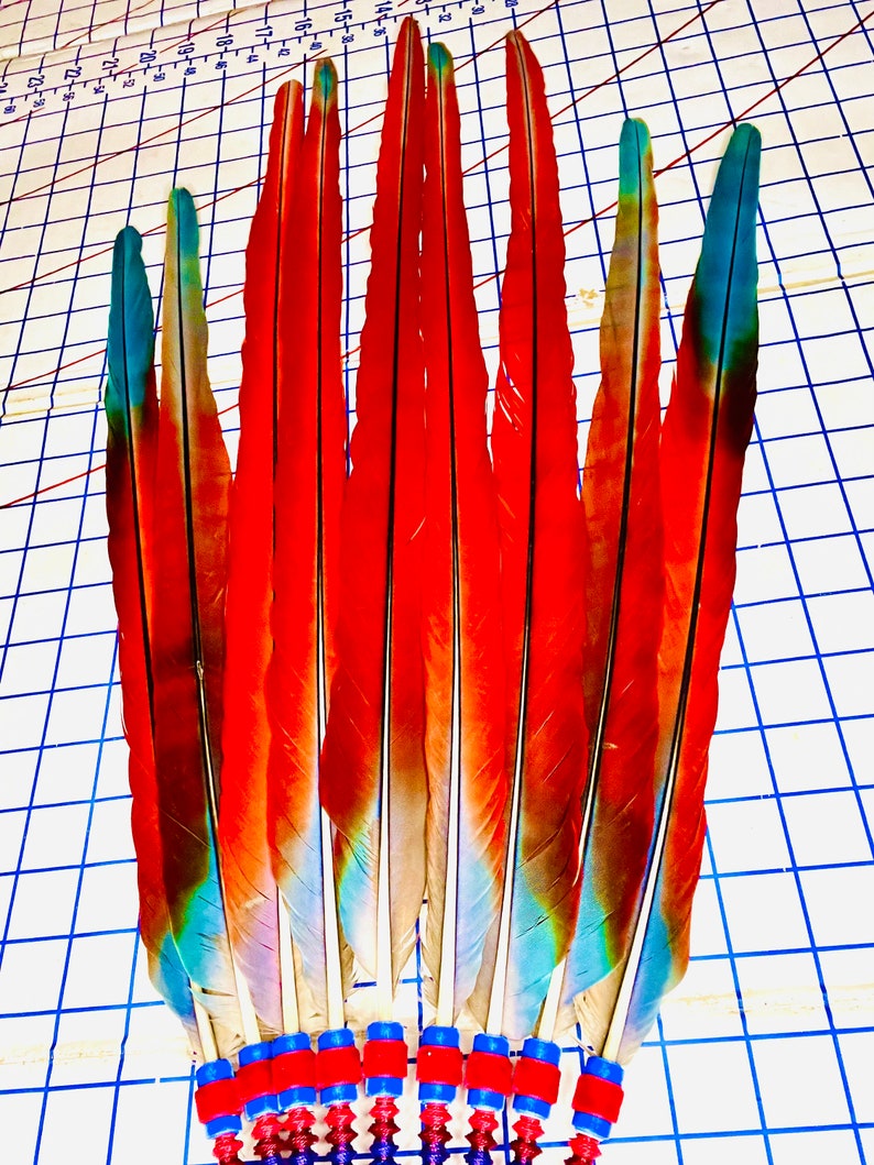 Scarlet Macaw Peyote Ceremony Feather Fan, NAC Native American Church ...