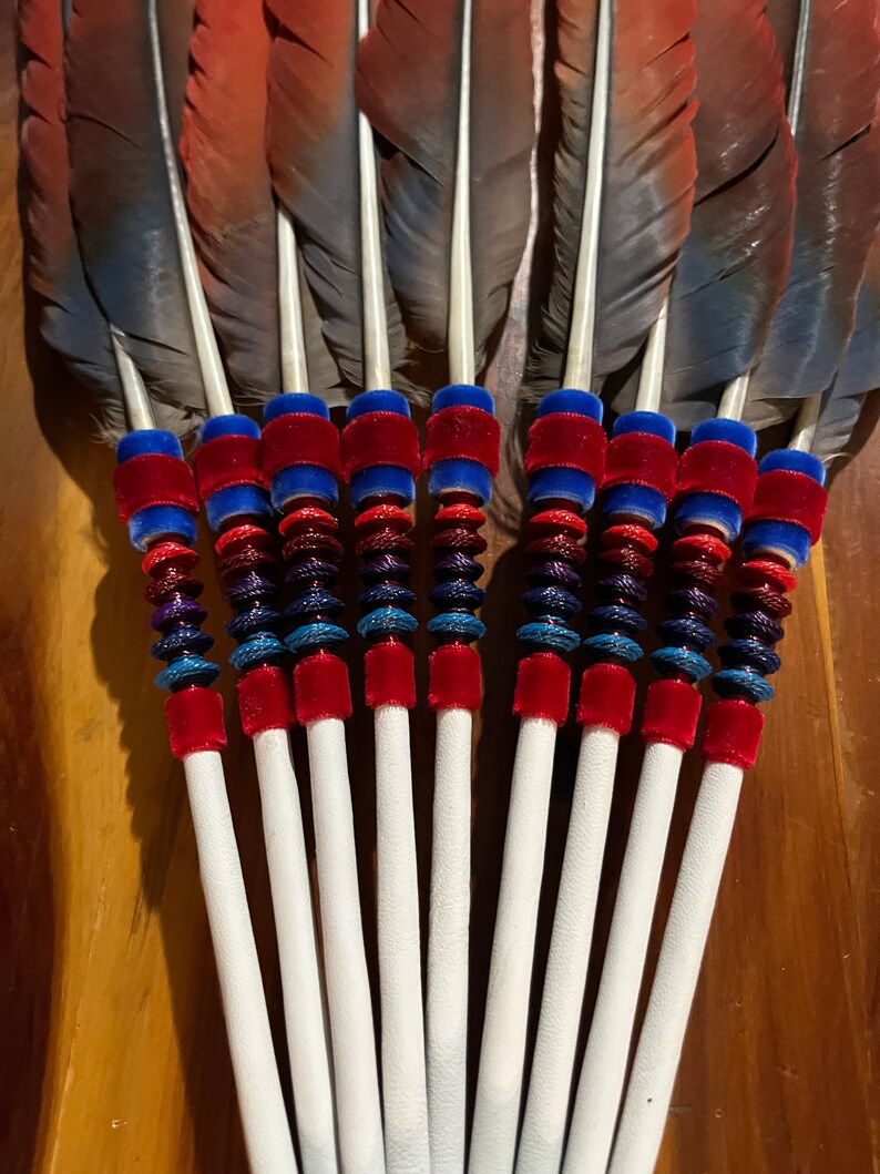 Scarlet Macaw Peyote Ceremony Feather Fan, NAC Native American Church ...