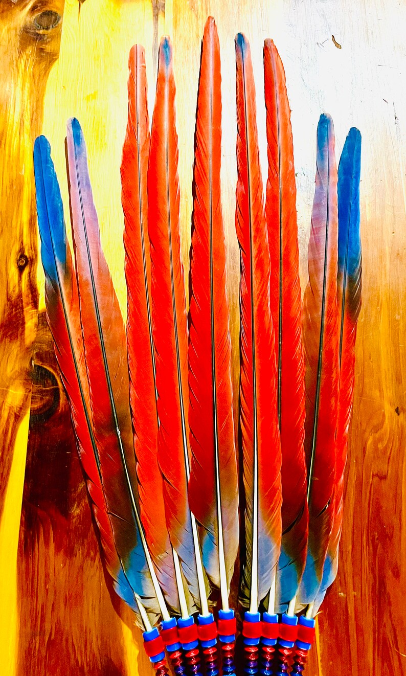 Scarlet Macaw Peyote Ceremony Feather Fan, NAC Native American Church ...