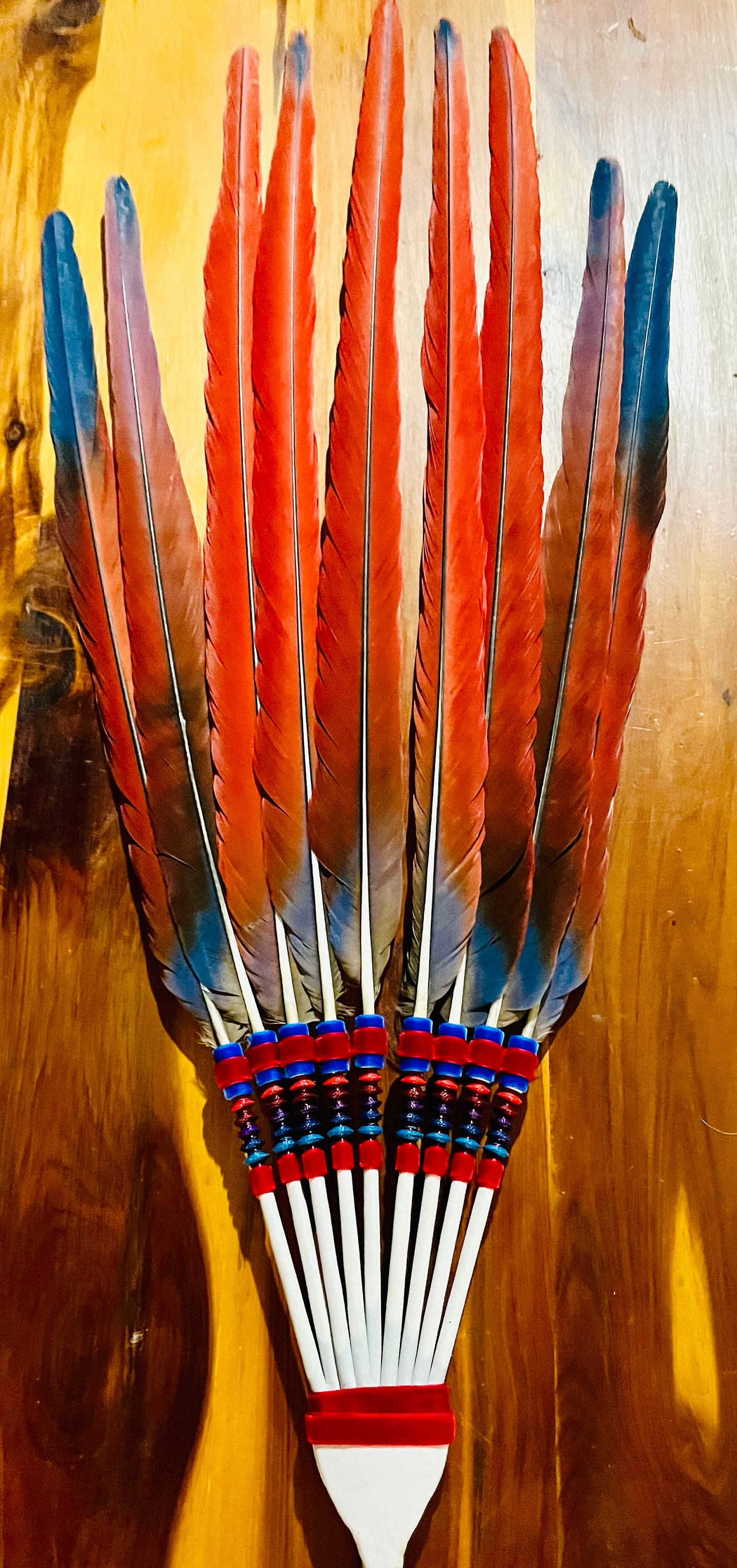 Scarlet Macaw Peyote Ceremony Feather Fan, NAC Native American Church ...