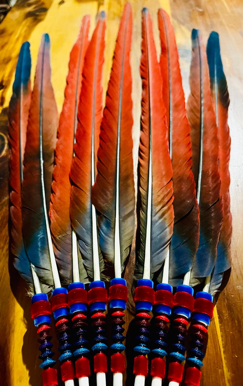 Scarlet Macaw Peyote Ceremony Feather Fan, NAC Native American Church ...
