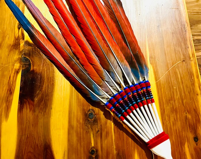 Scarlet Macaw Peyote Ceremony Feather Fan, NAC Native American Church ...