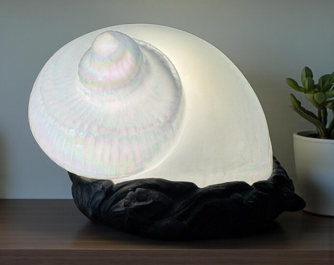 Vintage Iridescent Glass Shell Night Light Accent Table Light/snail ...