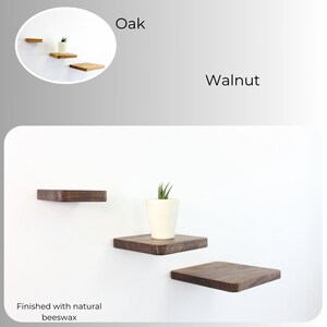plant shelf