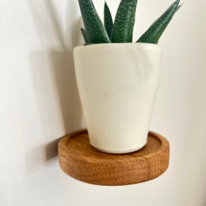 May include: A white ceramic planter with a succulent plant sits on a round wooden shelf. The shelf is made of light brown wood and has a smooth, rounded edge.