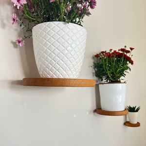 May include: Two white ceramic plant pots with different plants on wooden shelves mounted on a white wall. The top shelf has a pink flower plant and the bottom shelf has a red flower plant.
