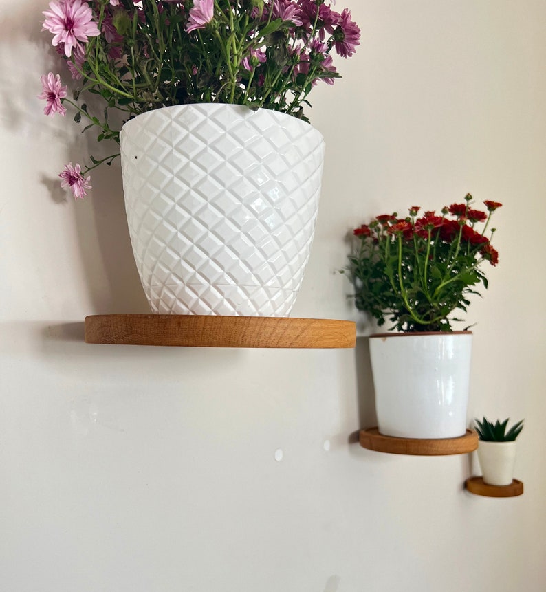 May include: Two white ceramic plant pots with different plants on wooden shelves mounted on a white wall. The top shelf has a pink flower plant and the bottom shelf has a red flower plant.
