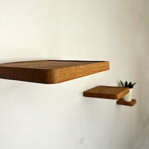 May include: Two wooden shelves mounted on a white wall. The top shelf is larger than the bottom shelf. A small potted plant is on the bottom shelf.