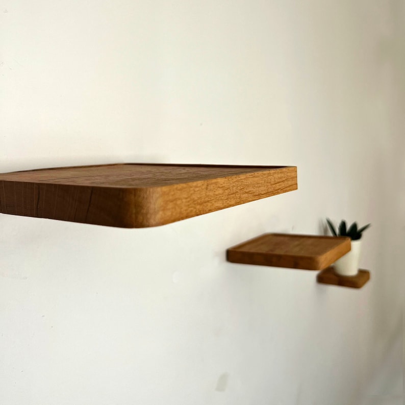 May include: Two wooden shelves mounted on a white wall. The top shelf is larger than the bottom shelf. A small potted plant is on the bottom shelf.