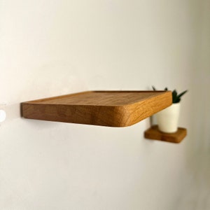 May include: Two wooden wall shelves with rounded edges. The top shelf is empty and the bottom shelf has a small potted plant.