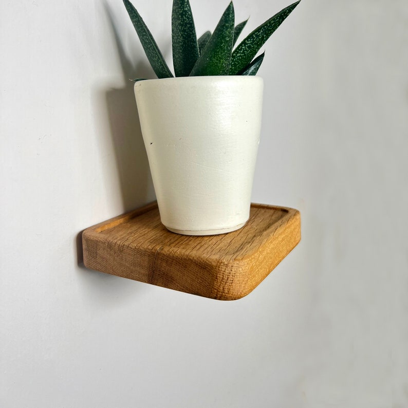 May include: A small wooden shelf with rounded edges, mounted to a white wall, holds a white ceramic pot with a green succulent plant.