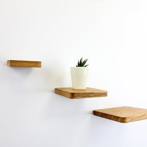 Floating Shelves Solid Oak and Walnut  | Square and Circle Design | Wall Mounted with Hidden