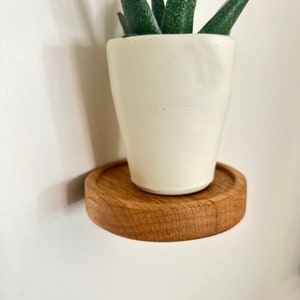 Floating Wood Shelves, Plant Shelf image 9