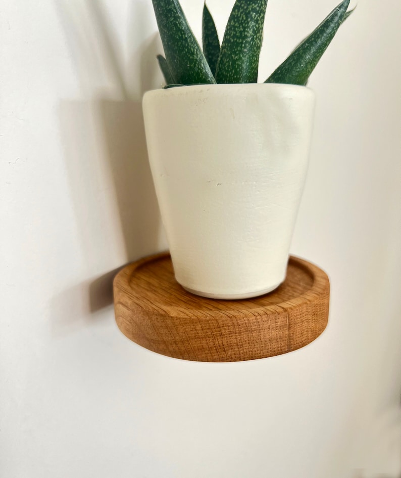 Floating Wood Shelves, Plant Shelf image 9