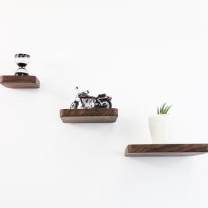 plant shelves