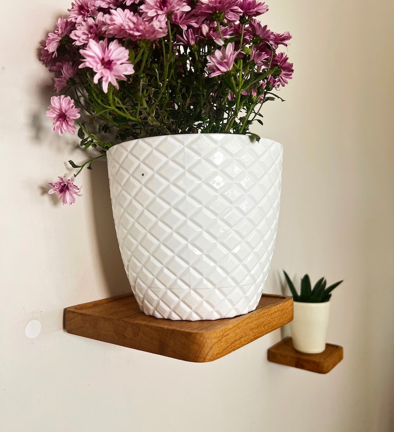 Floating Wood Shelves, Plant Shelf image 6