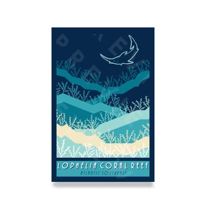 Wall Poster (Unframed) - Coral Reef