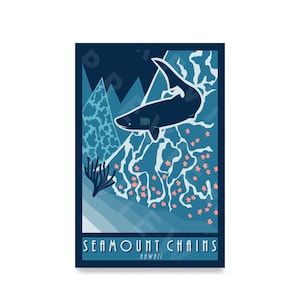 May include: A blue and white illustration of a shark swimming over a seamount chain with coral and starfish. The text "Seamount Chains Hawaii" is at the bottom of the image.