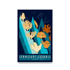 May include: A blue and white graphic illustration of various coral species with the text "Seamount Corals Hawaii" at the bottom.
