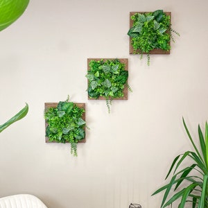 Op de afbeelding: Drie vierkante wandkunstwerken met houten frames en levendige groene kunstplanten. De frames zijn warmbruin en de planten hebben een verscheidenheid aan texturen en groentinten. De kunst is gemonteerd op een neutraal gekleurde muur.