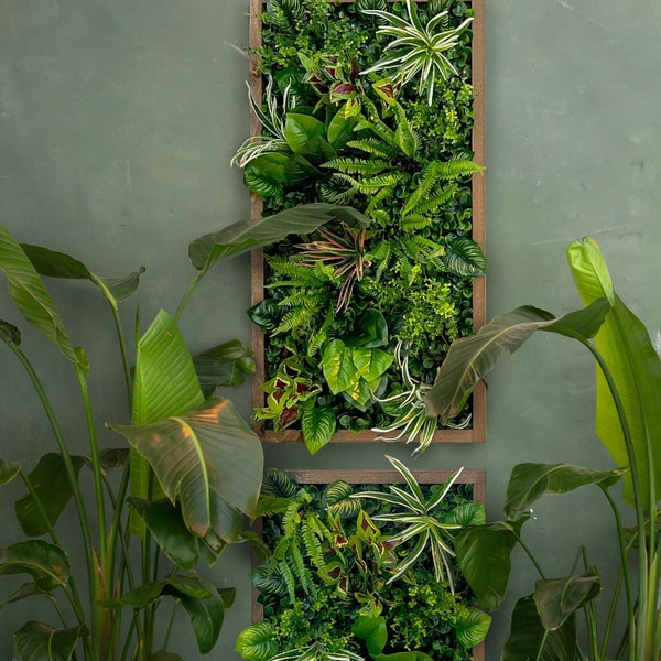 Cadre végétal/image végétale/mur de mousse/image de mousse/mur vert « YUCATAN » en plantes artificielles Realtouch au design jungle, cadre en bois d'épicéa