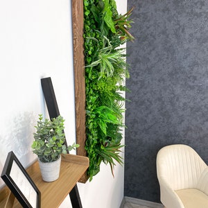 Cadre végétal/image végétale/mur de mousse/image de mousse/mur vert YUCATAN en plantes artificielles Realtouch au design jungle, cadre en bois d'épicéa image 9