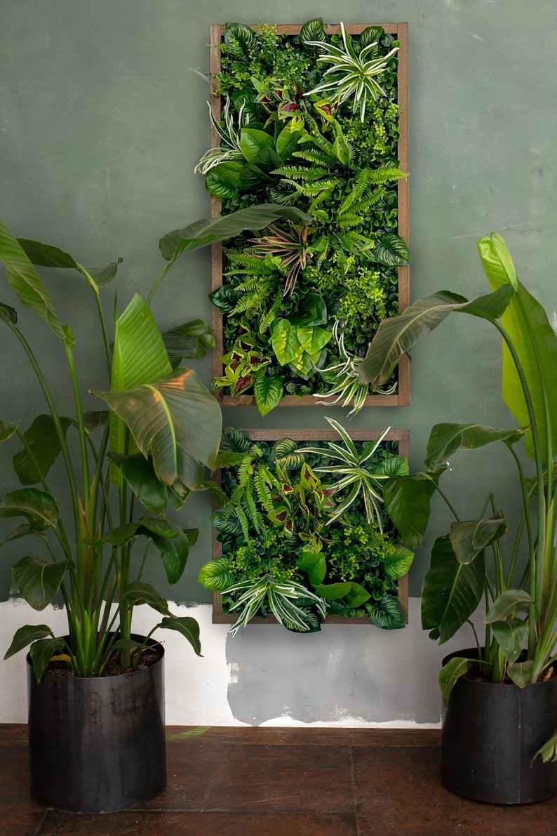 Cadre végétal/image végétale/mur de mousse/image de mousse/mur vert YUCATAN en plantes artificielles Realtouch au design jungle, cadre en bois d'épicéa image 1