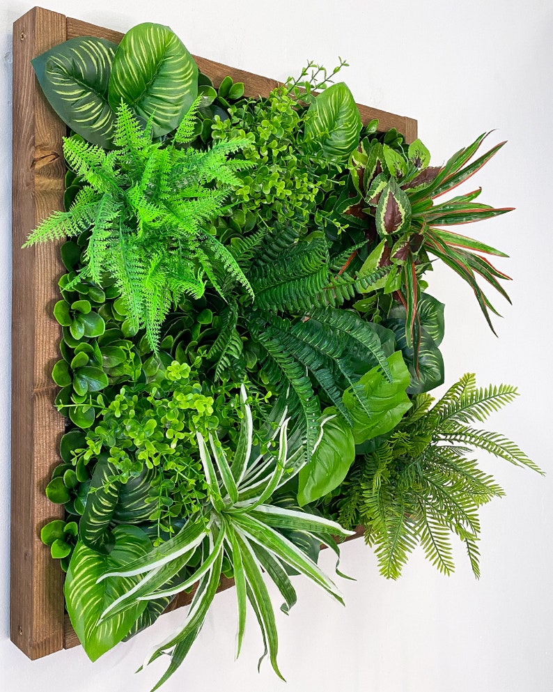 Cadre végétal/image végétale/mur de mousse/image de mousse/mur vert YUCATAN en plantes artificielles Realtouch au design jungle, cadre en bois d'épicéa image 3