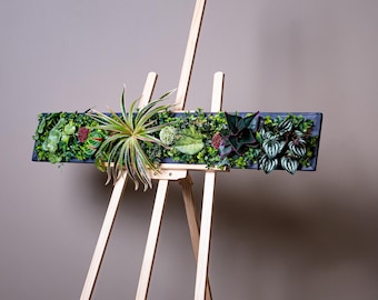 Växtstång/Växtvägg/Mossvägg "Borneo" 120 x 20 cm tillverkad av Realtouch konstväxter i en massiv träram