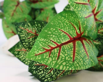 Konstgjord Caladium bicolor | Högkvalitativ dekorativ växt för vaser, arrangemang och gör-det-själv-projekt
