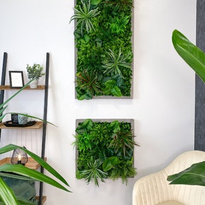 Cadre végétal/image végétale/mur de mousse/image de mousse/mur vert YUCATAN en plantes artificielles Realtouch au design jungle, cadre en bois d'épicéa image 4