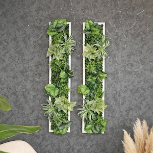 Plantframe/Pflanzenbild/Mooswand/Pflanzenwand "SAMANA" aus Realtouch Kunstpflanzen im Dschungel Design, Fichtenholzrahmen|Vertikaler Garten