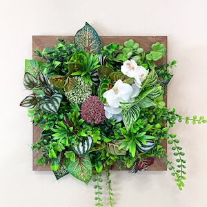 Könnte beinhalten: Ein gerahmtes quadratisches Wandbild mit verschiedenen grünen und roten Blattpflanzen, weißen Orchideen und einer lila Blume. Der Rahmen ist aus braunem Holz.