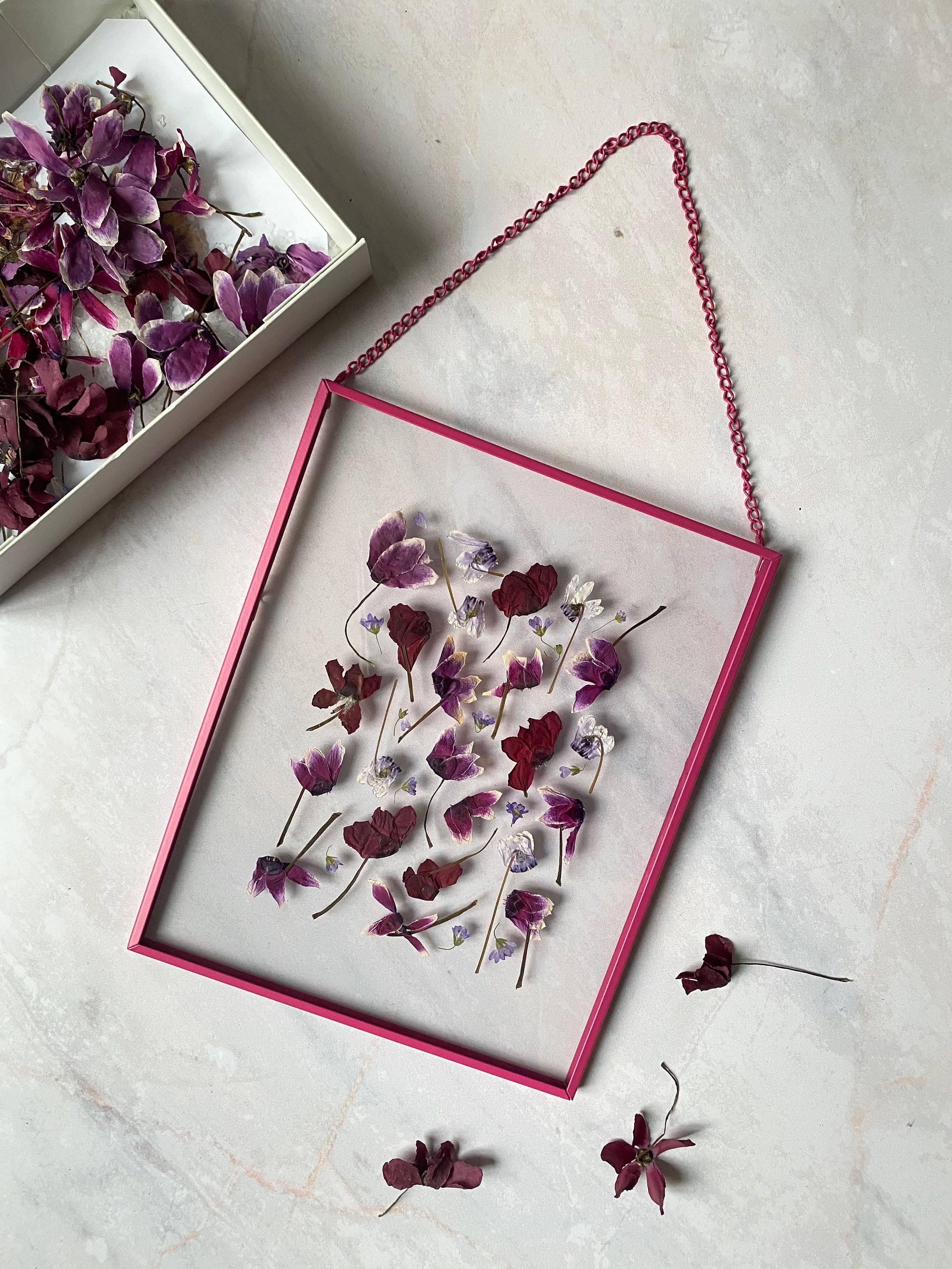 Création Florale Cyclamen Party